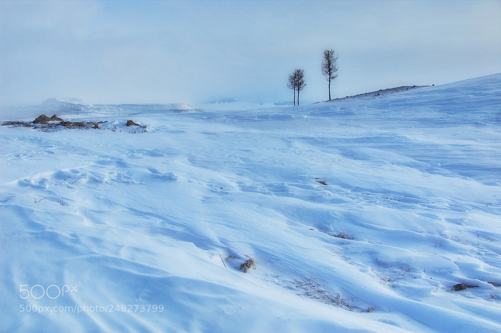 Nikon D40 sample photo. Winter minimalism photography
