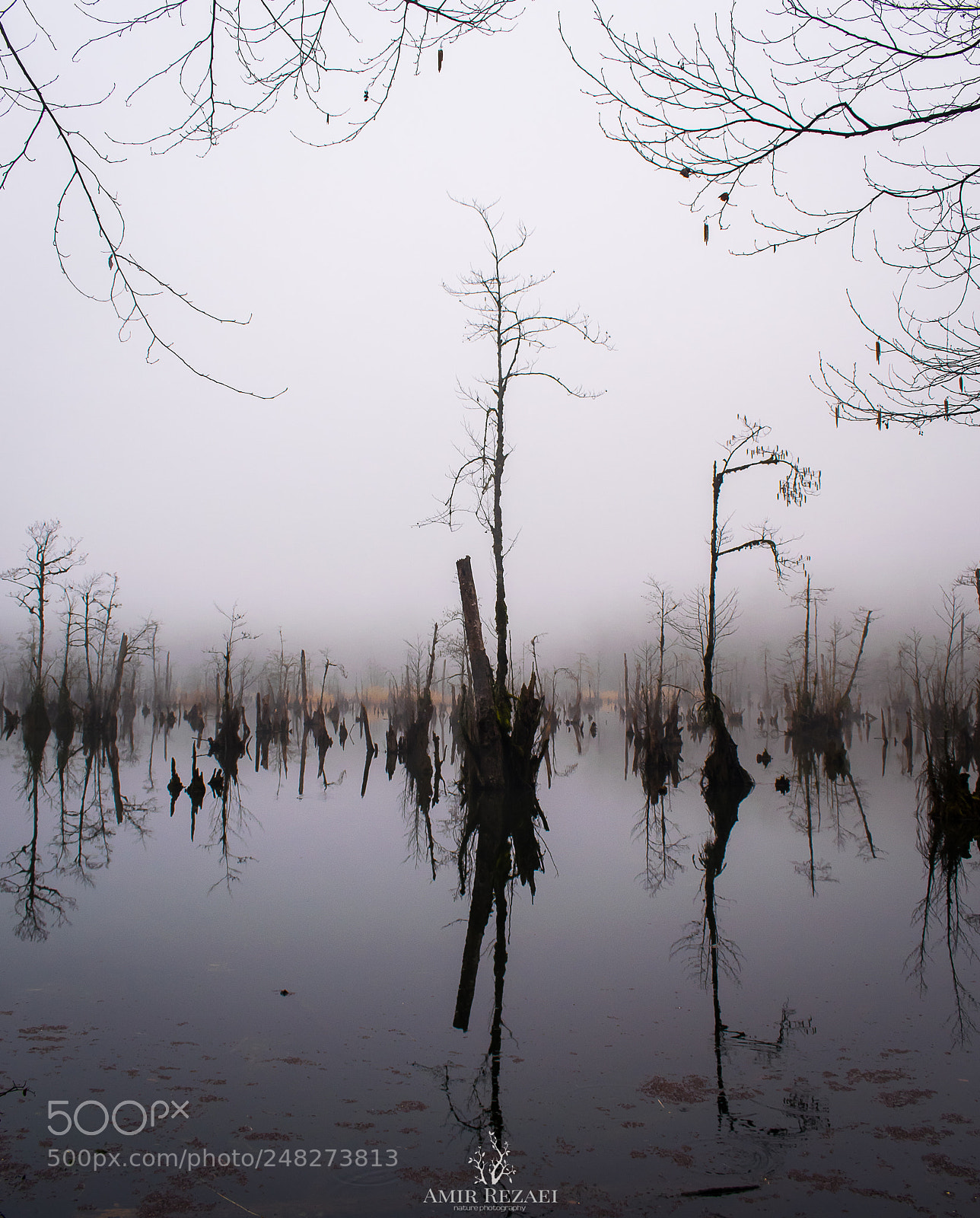 Nikon D5300 sample photo. Ghost lake photography