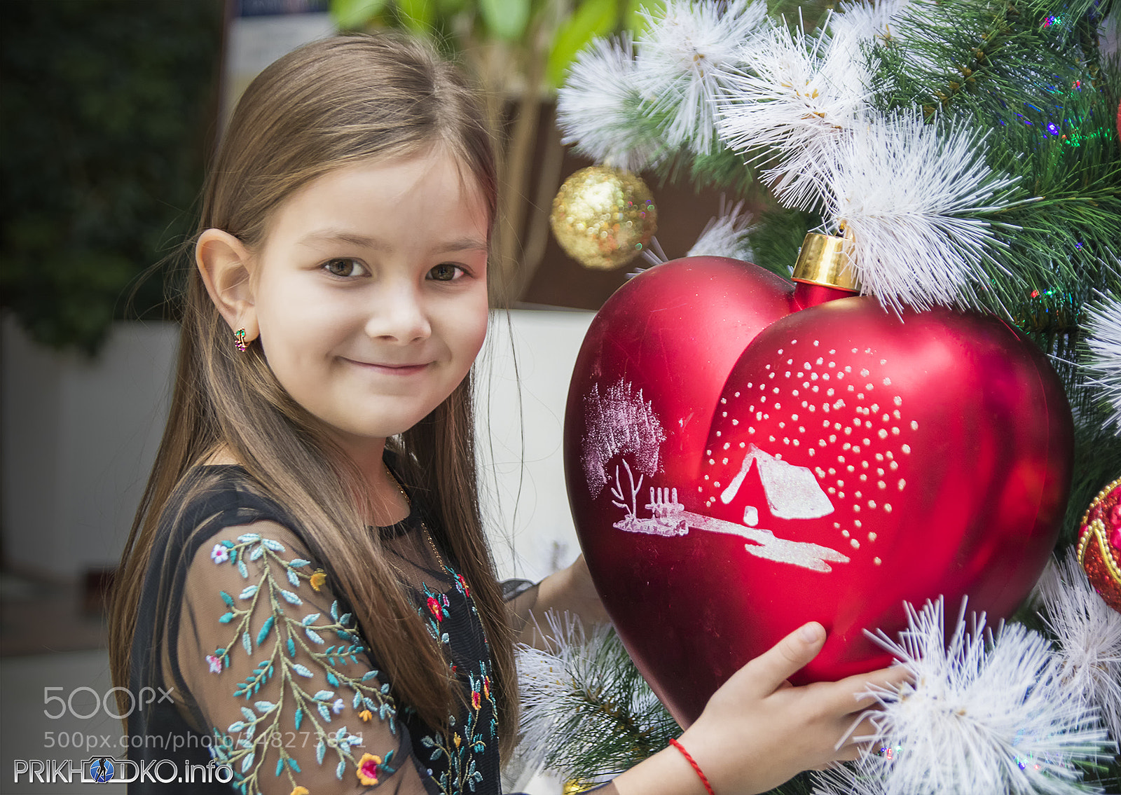 Canon EOS 80D sample photo. My big heart! photography