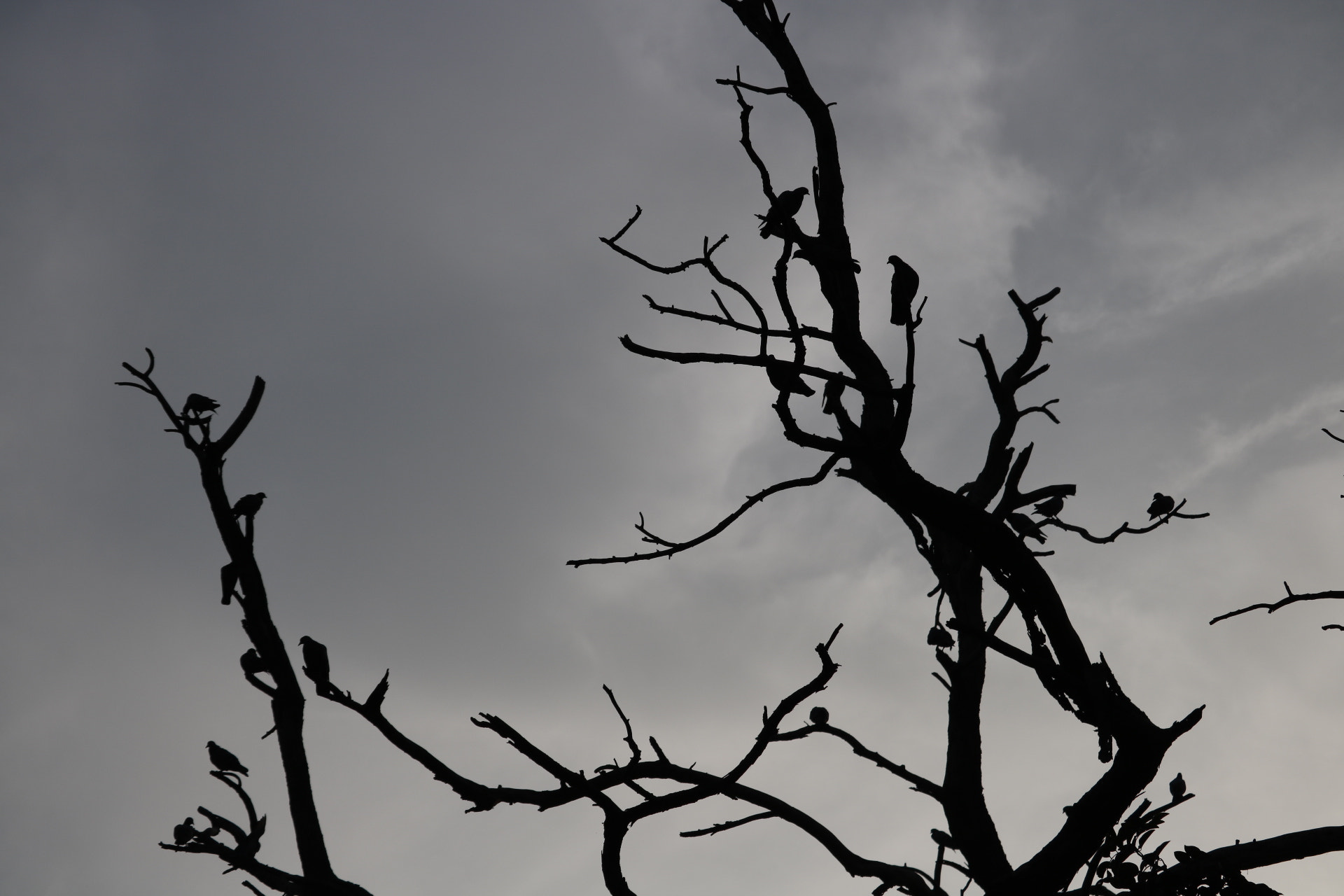 Canon EOS 760D (EOS Rebel T6s / EOS 8000D) sample photo. Nature's love photography