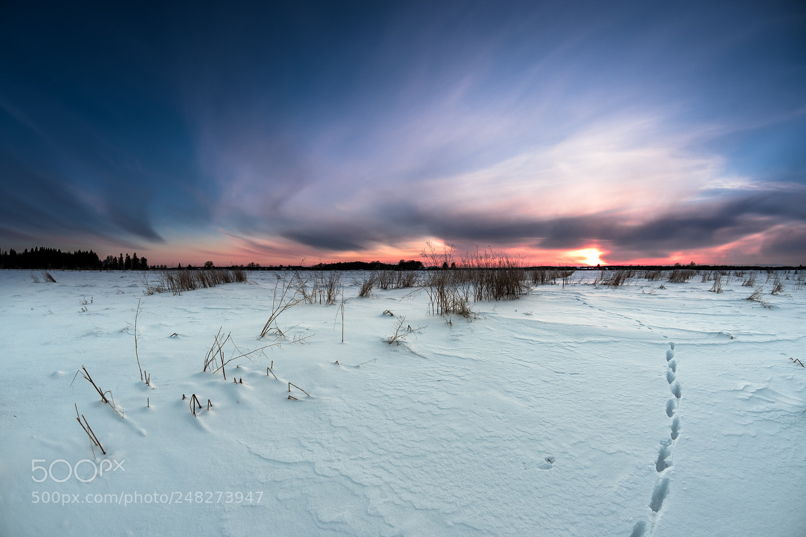 Nikon D500 sample photo. Sunset photography