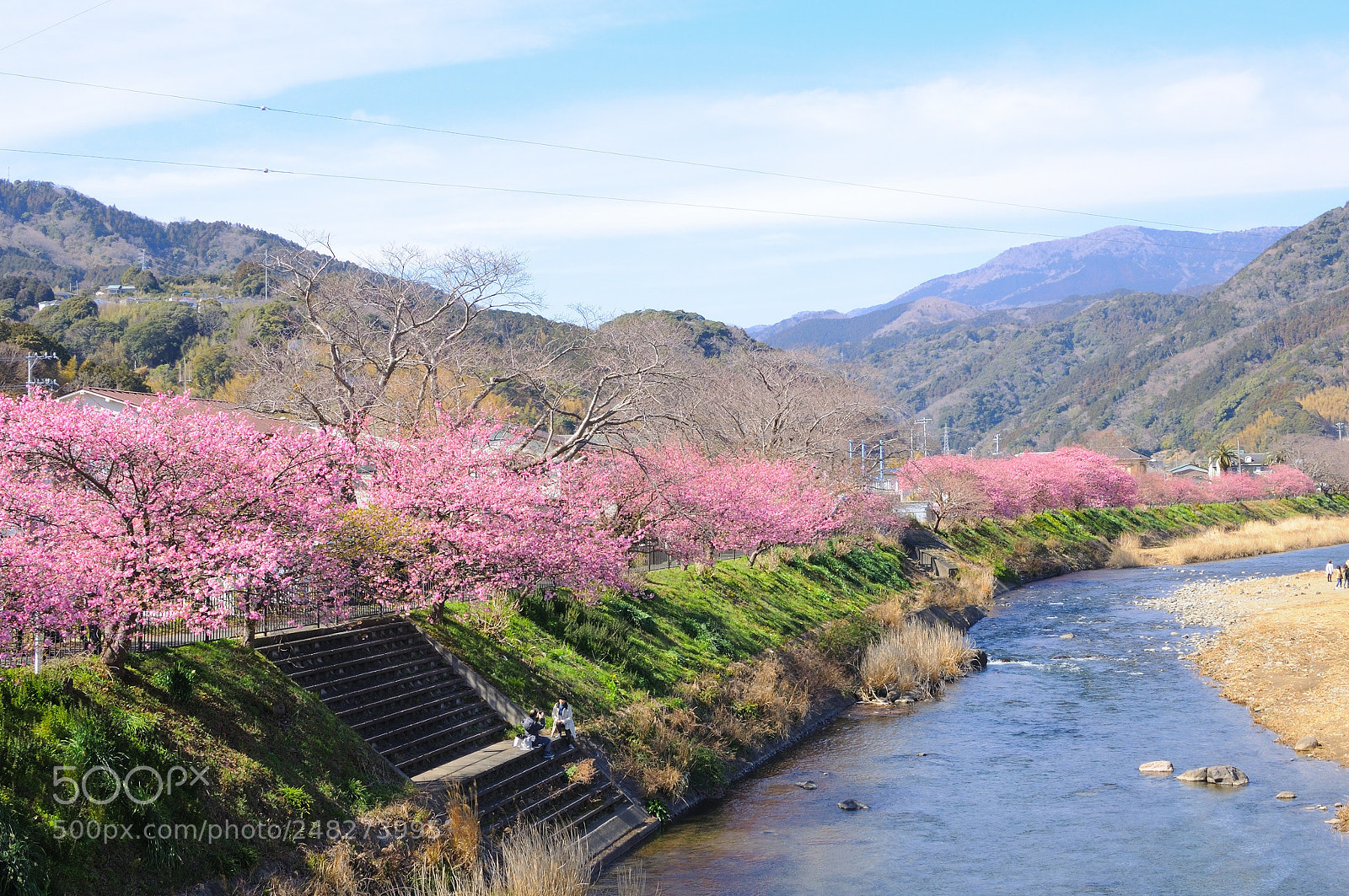 Nikon D90 sample photo. Welcome spring photography