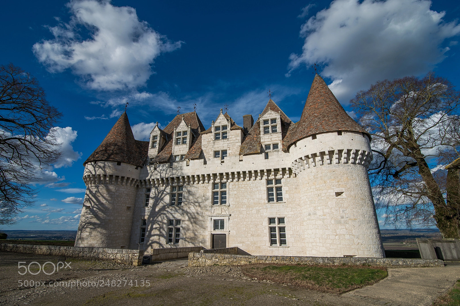 Nikon D4 sample photo. Monbazillac castle : dordogne : france photography