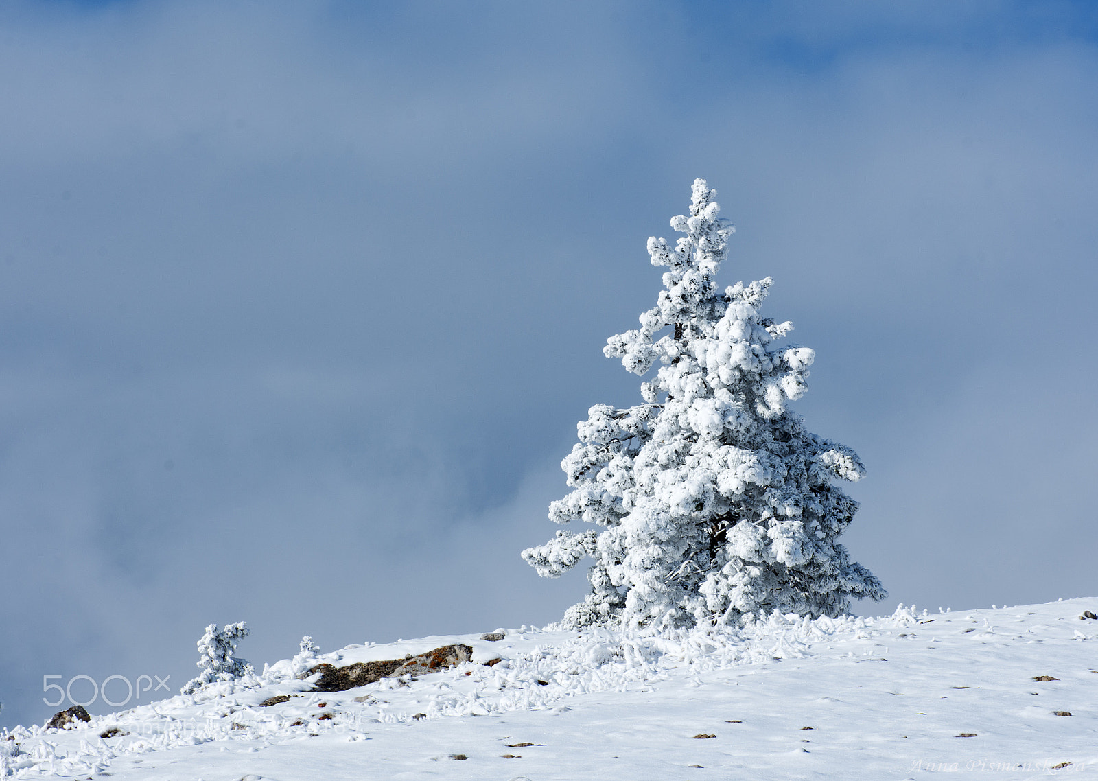 Nikon D7200 sample photo. Lone pine photography