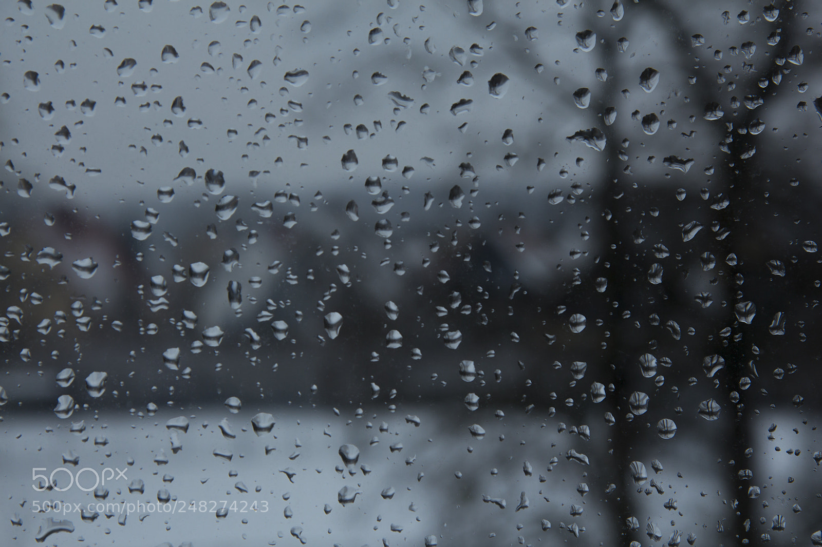 Canon EOS 700D (EOS Rebel T5i / EOS Kiss X7i) sample photo. One by one we photography