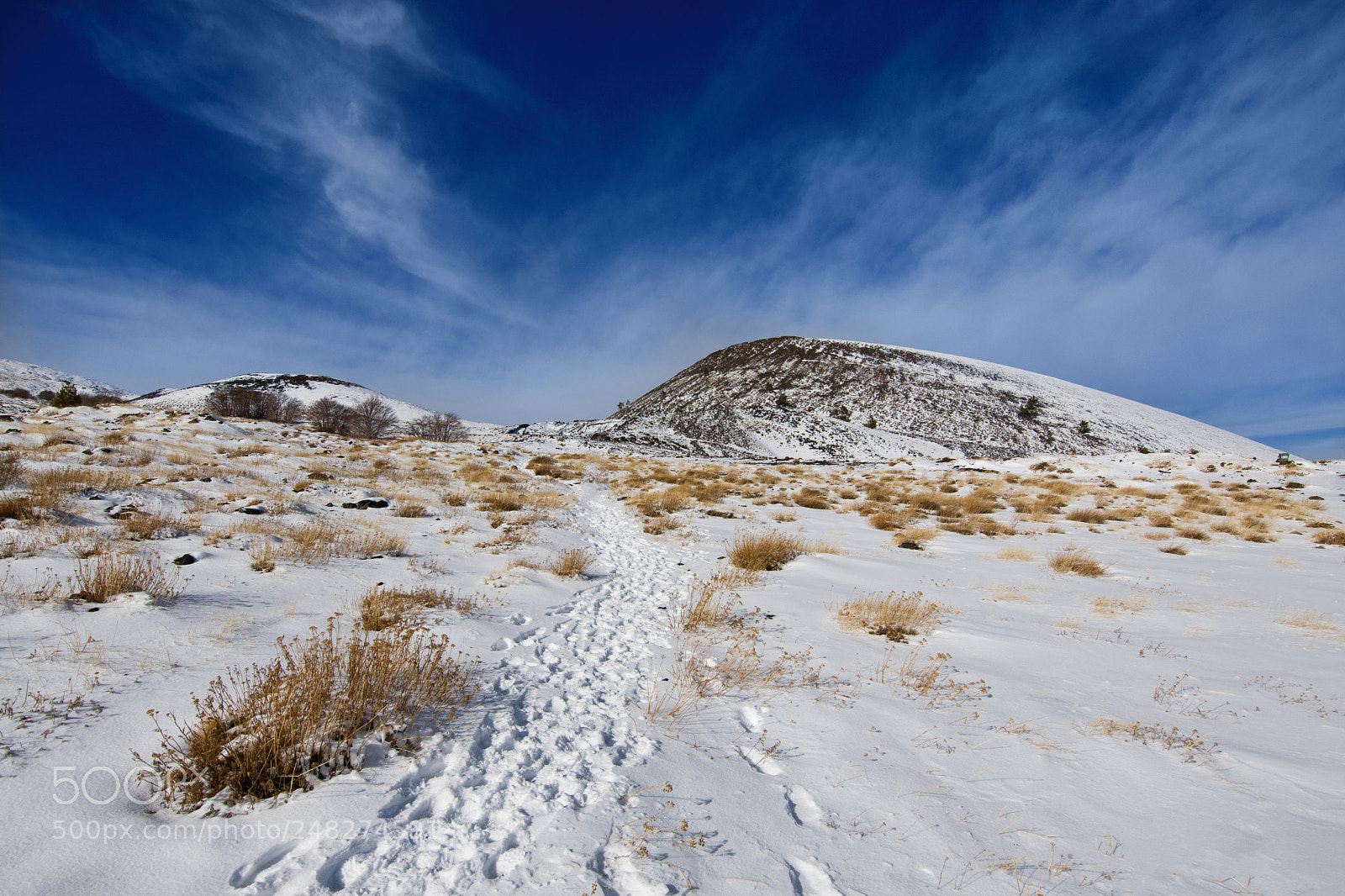 Nikon D500 sample photo. Traces in the snow photography