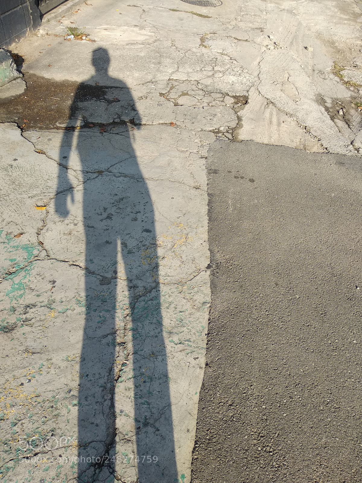 Xiaomi Mi A1 sample photo. Untitled photography