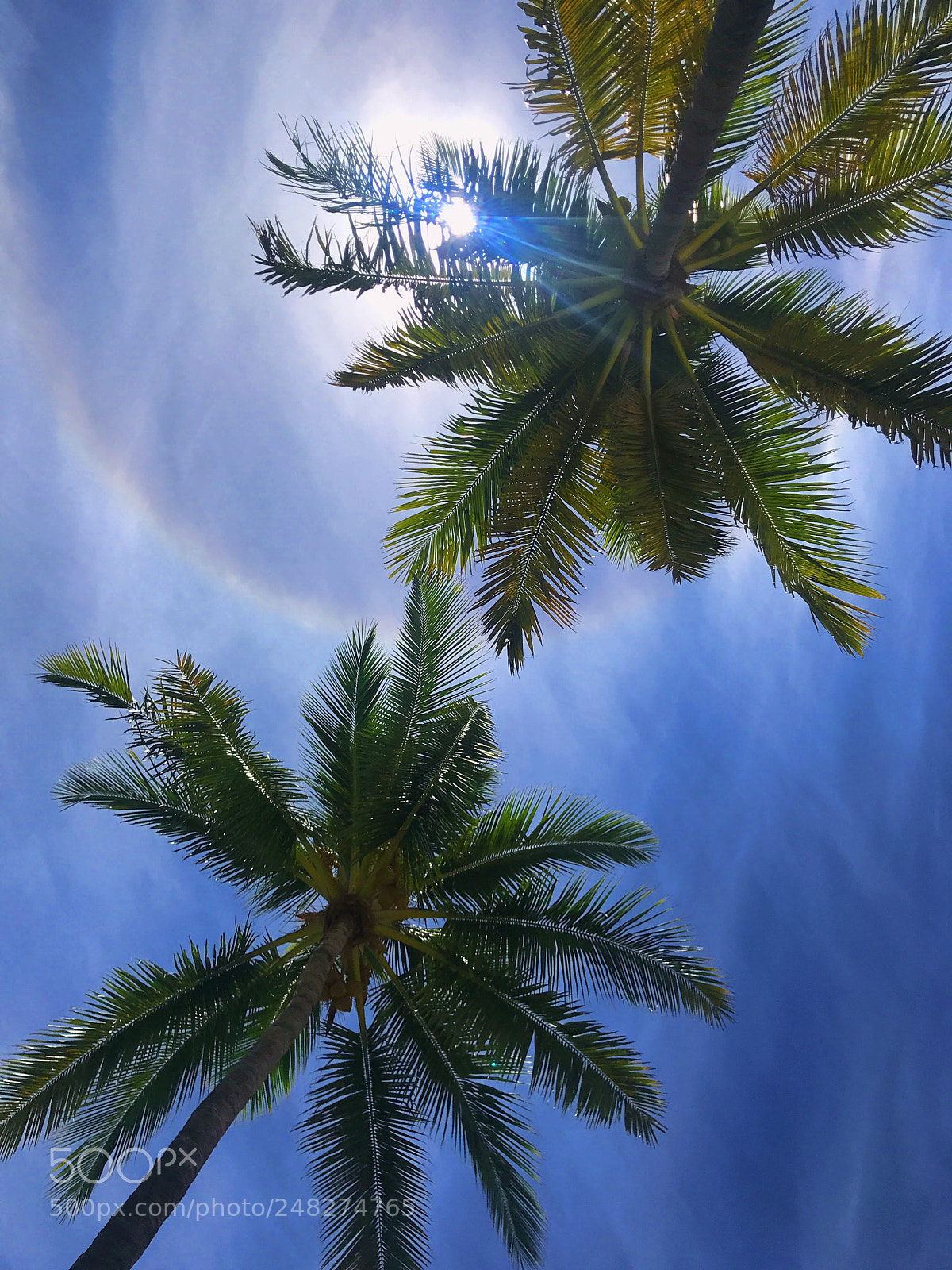 Apple iPhone 7 sample photo. Island halo photography