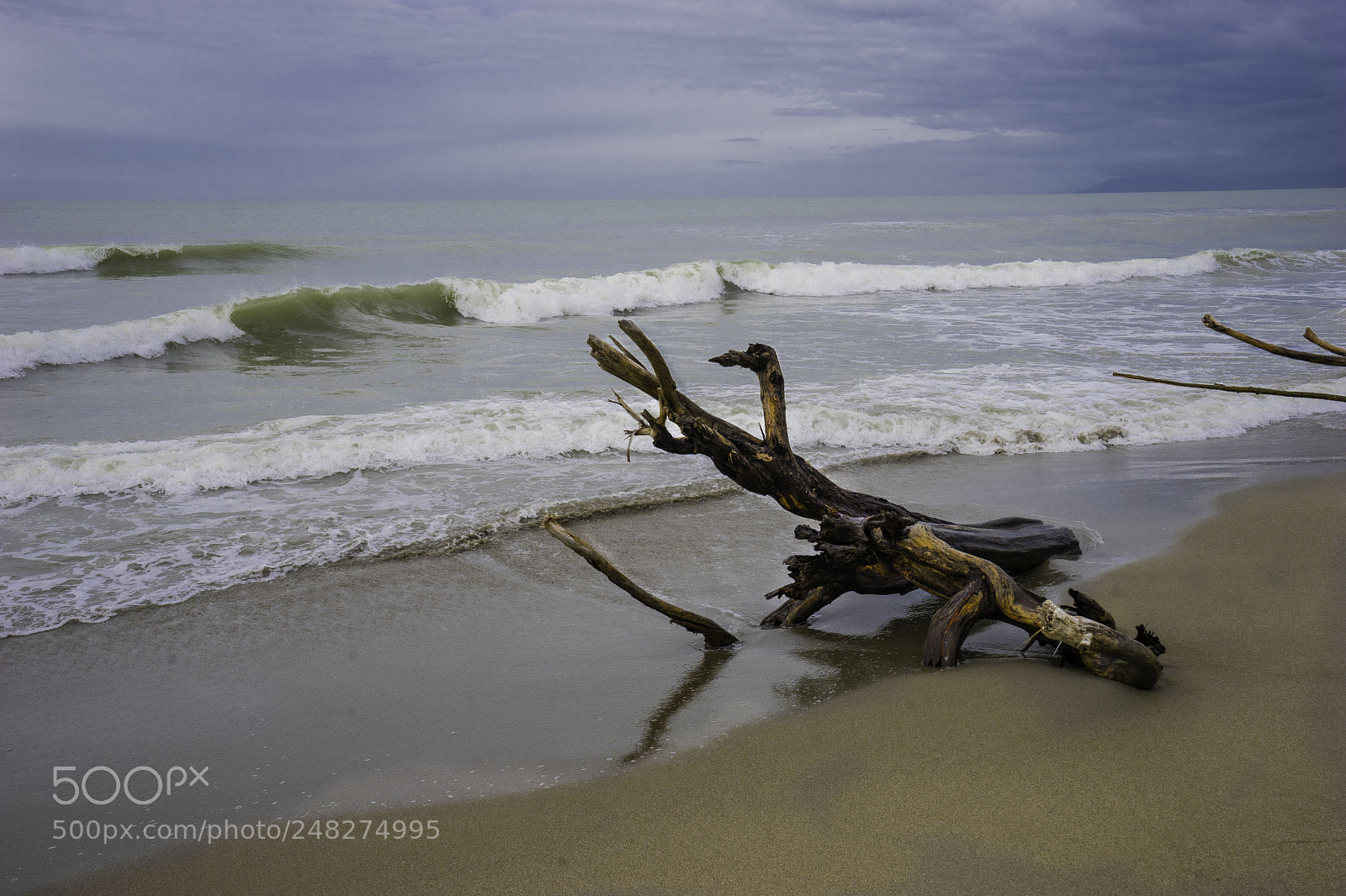 Sony a7 II sample photo. Vecchiano due photography