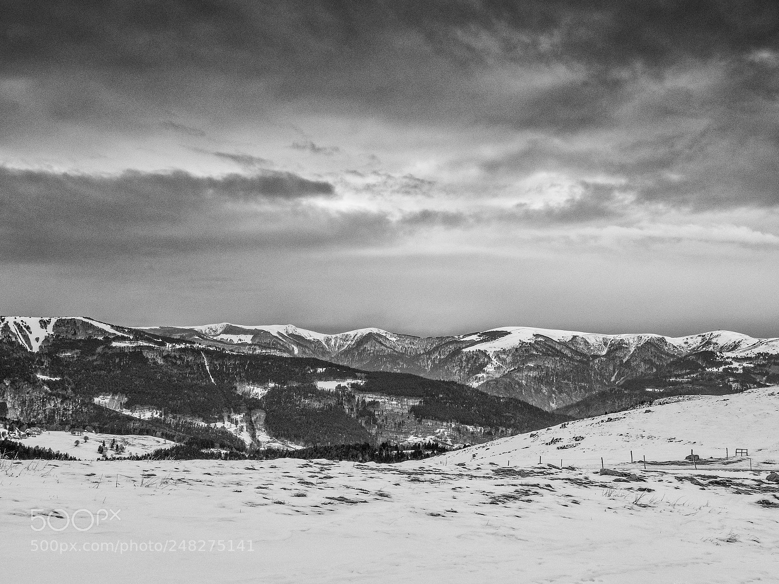 Panasonic Lumix DMC-GX8 sample photo. Winter in march photography