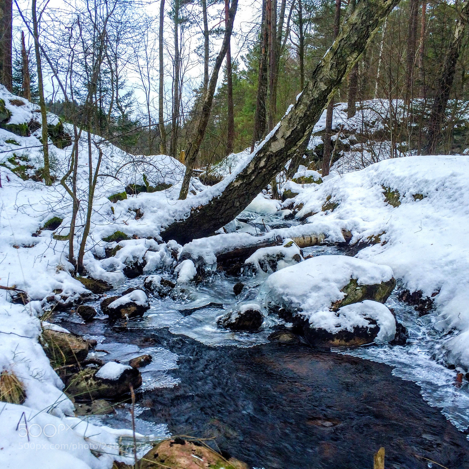 Apple iPhone 5s sample photo. The brook all snowy photography