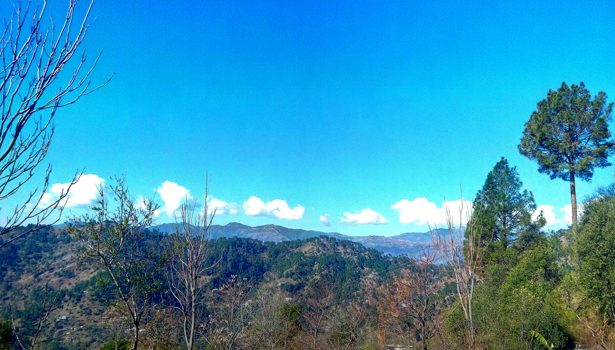 HTC D728W sample photo