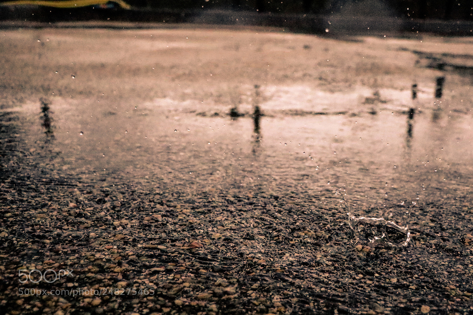 Canon EOS 7D Mark II sample photo. Drops of rain photography