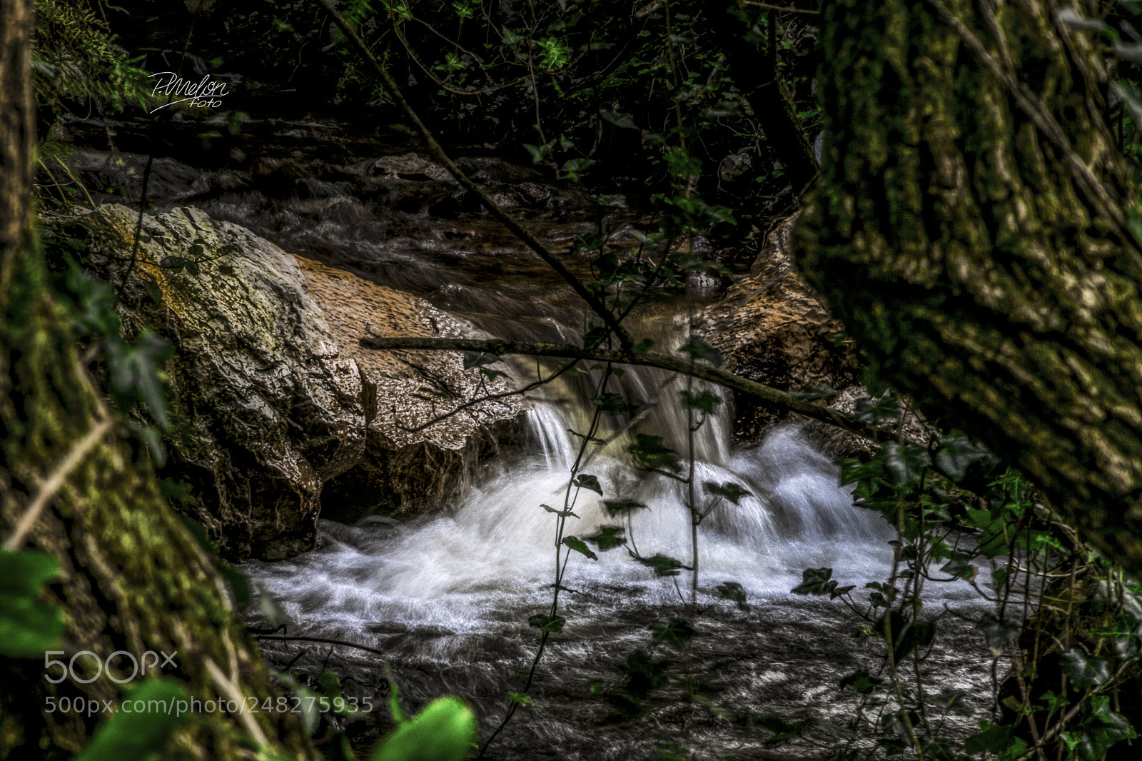 Sony SLT-A68 sample photo. Rio novales en vidiago photography