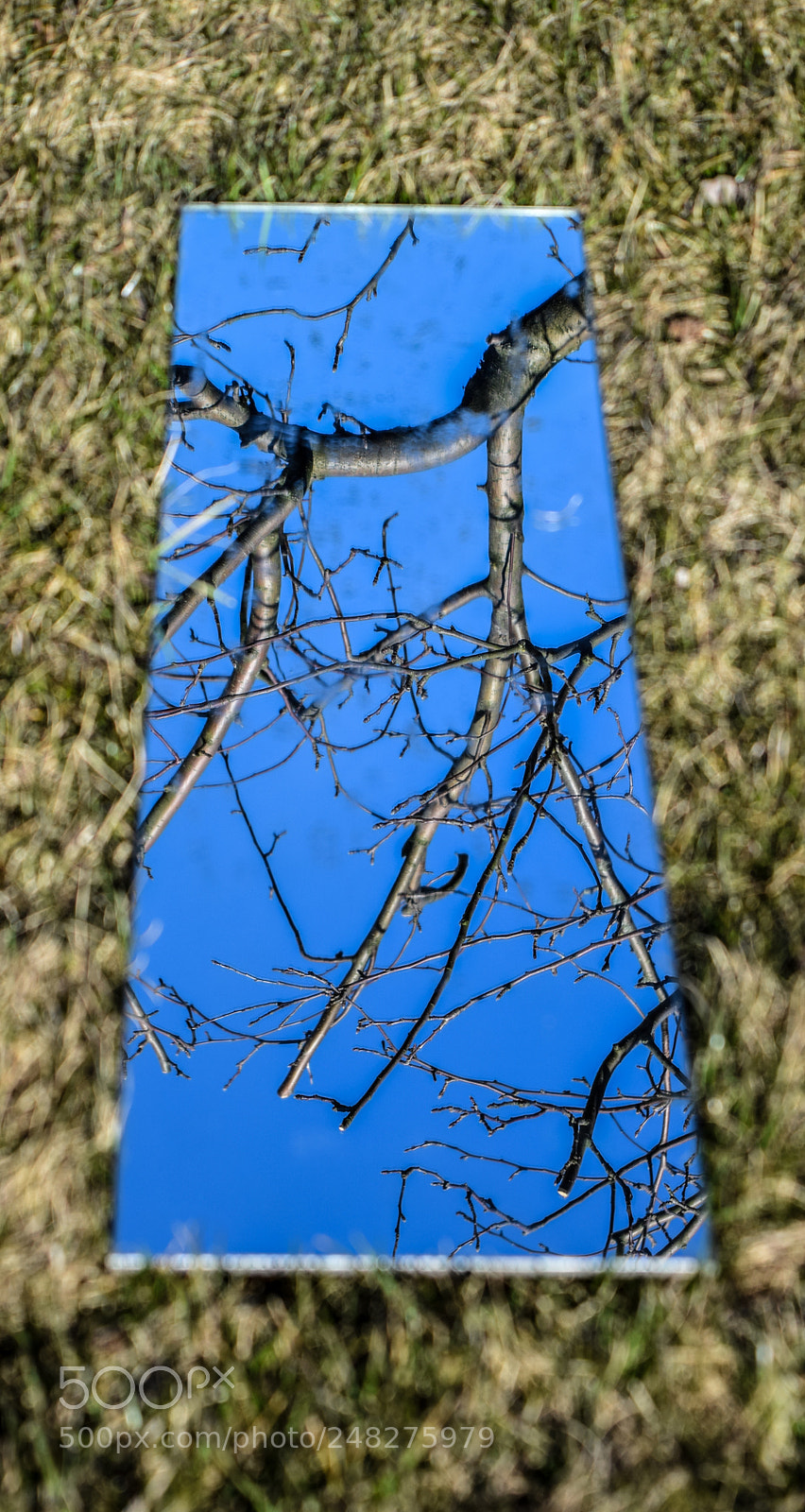 Nikon D5300 sample photo. Forgotten hatch photography