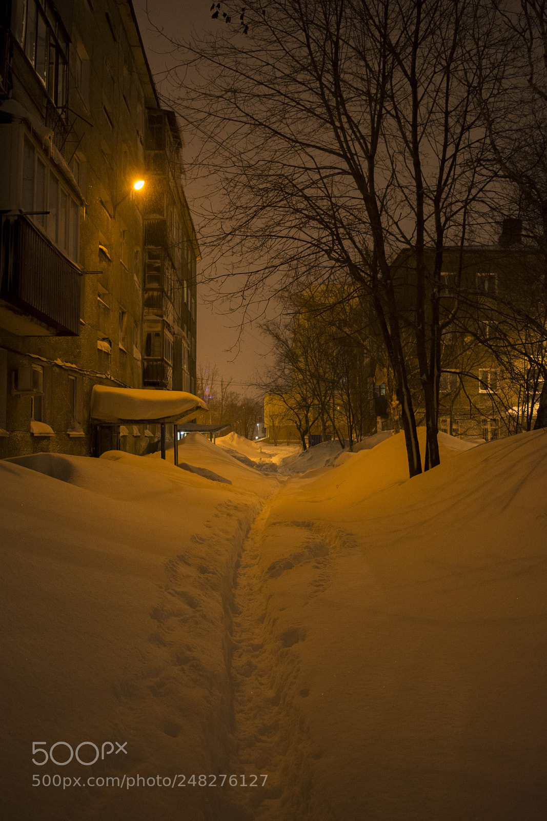 Nikon D7100 sample photo. Snowy sakhalin yard photography