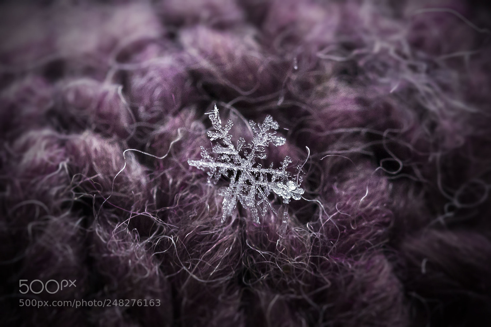 Canon EOS 100D (EOS Rebel SL1 / EOS Kiss X7) sample photo. Snowflake photography