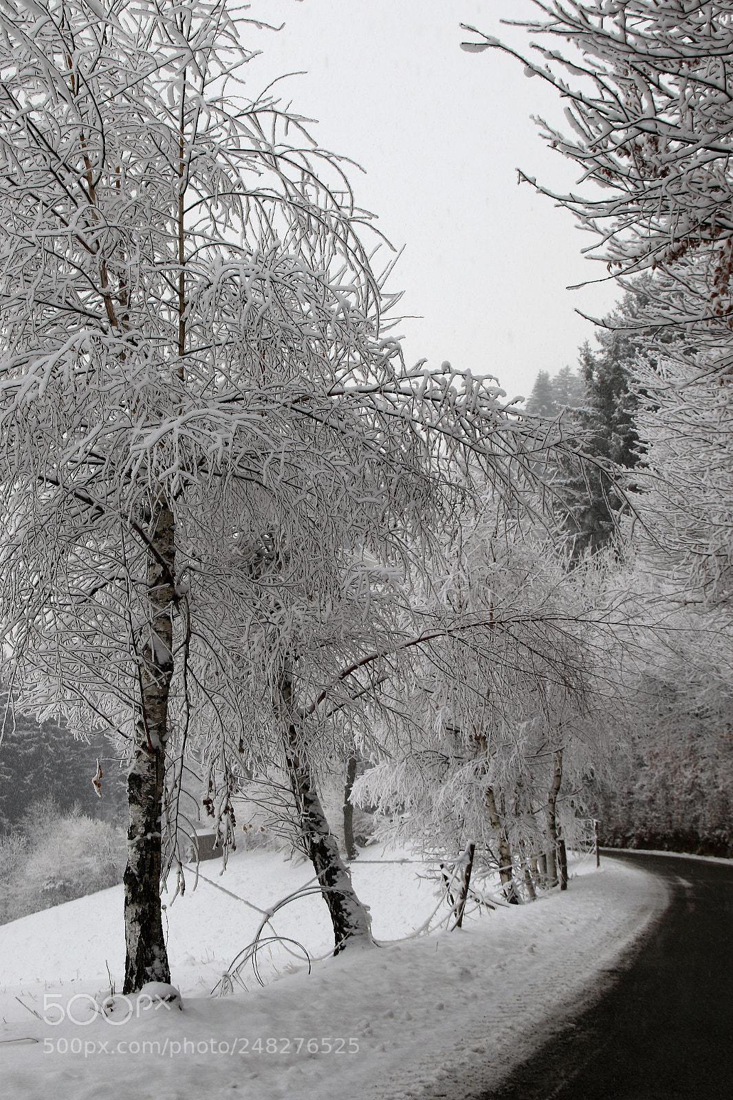 Canon EOS 7D Mark II sample photo. Winter roars late photography