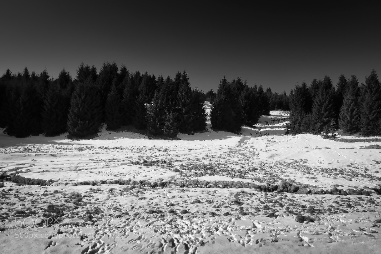 Nikon D5300 sample photo. Czech winter landscape in photography