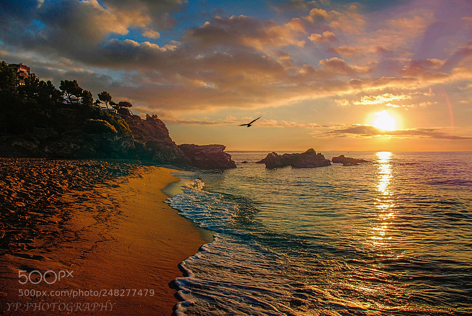 Nikon D200 sample photo. Untitled photography