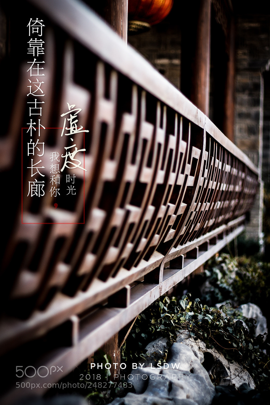 Canon EOS 60D sample photo. Untitled photography