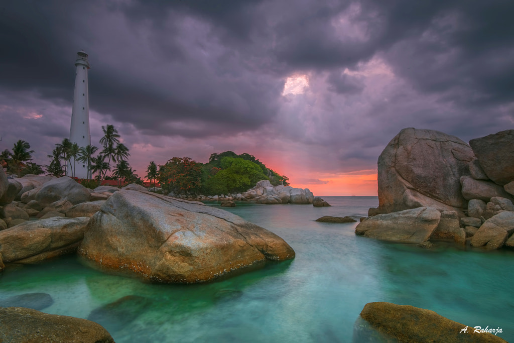 Stand Tall 4 by Anton Raharja on 500px.com