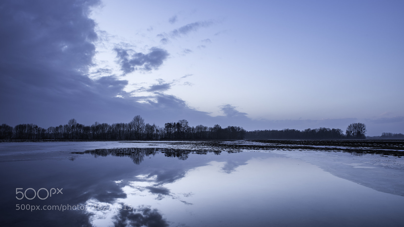 Pentax K-1 sample photo. On earth, at golden photography