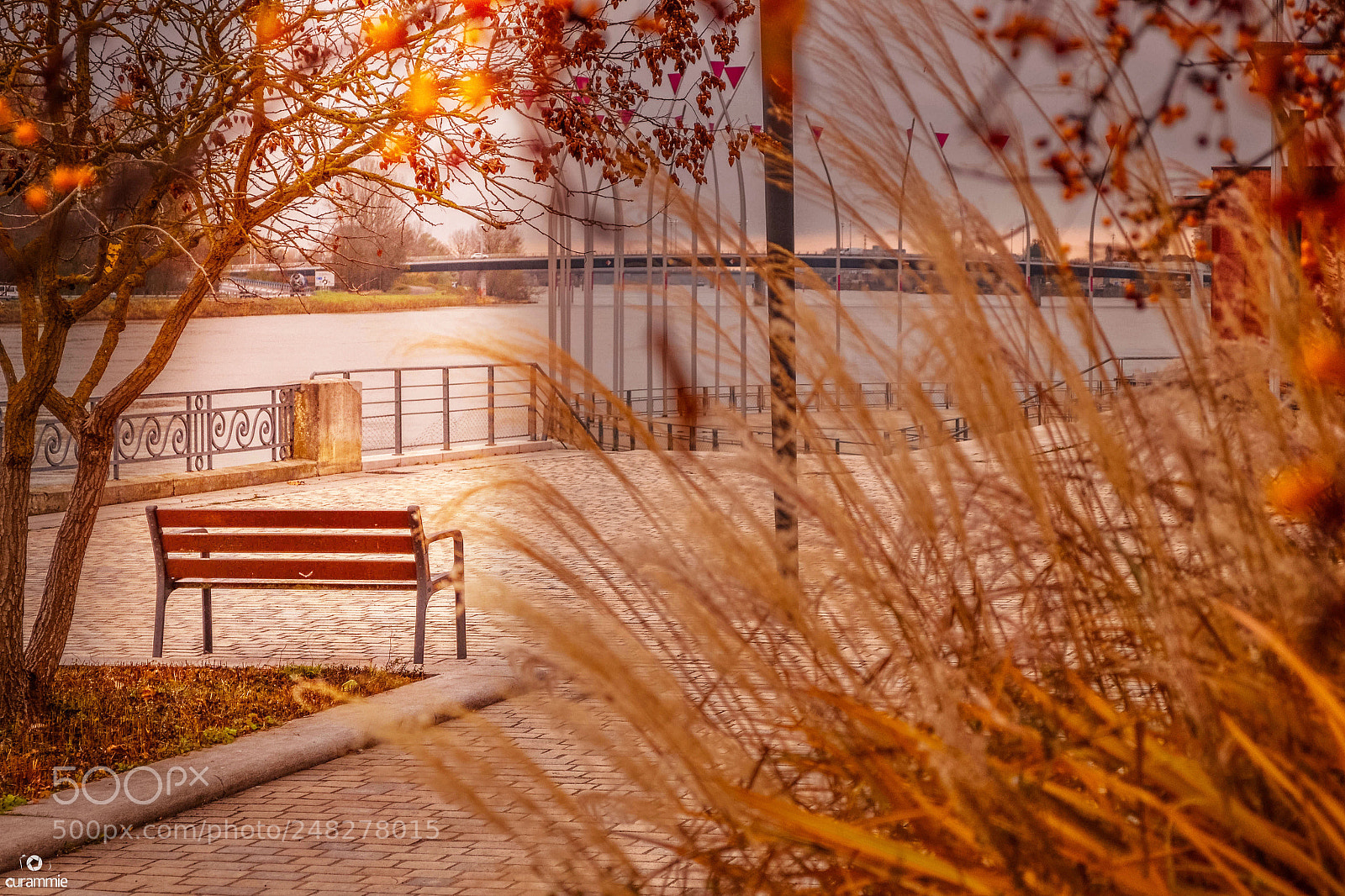 Nikon D3100 sample photo. Park bench photography
