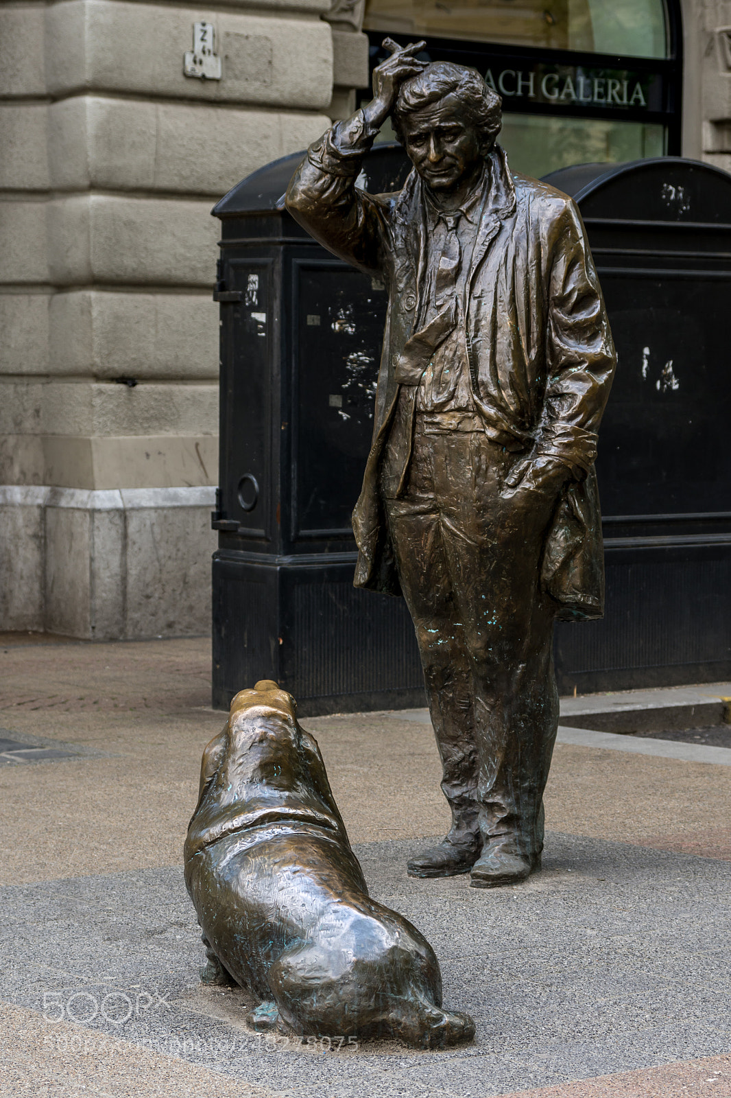 Nikon D7200 sample photo. Columbo and dog photography