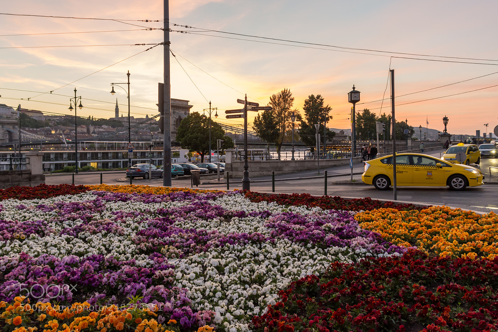 Nikon D7200 sample photo. Golden flowers photography