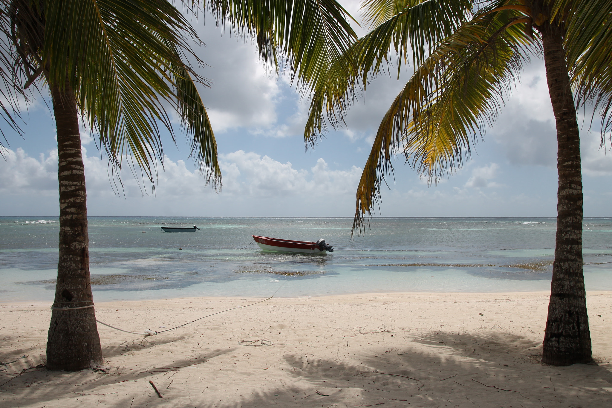 Sigma 18-250mm F3.5-6.3 DC OS HSM sample photo. A little corner of paradise photography