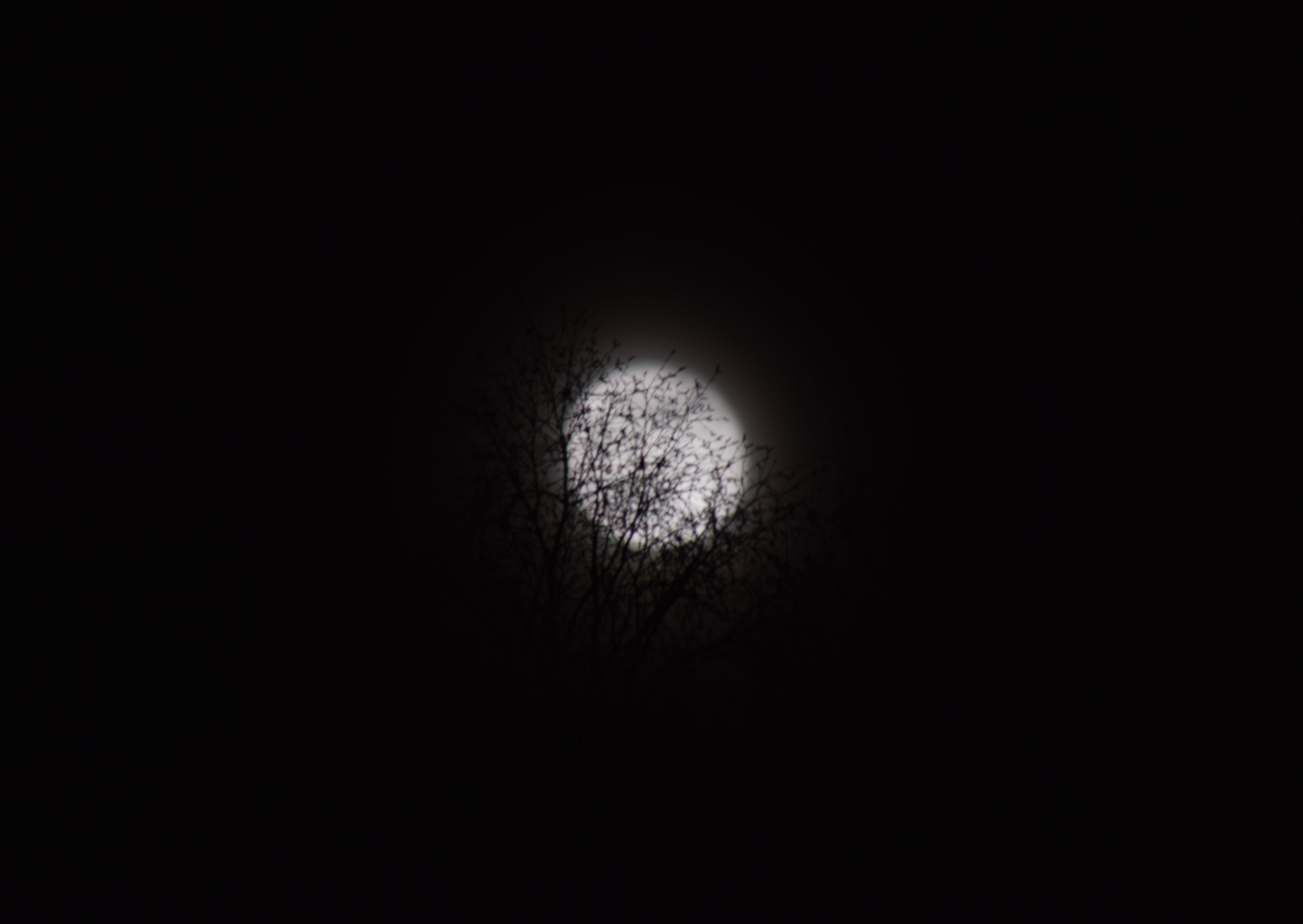 Nikon D5300 + Sigma 70-300mm F4-5.6 APO DG Macro sample photo. Night moon photography