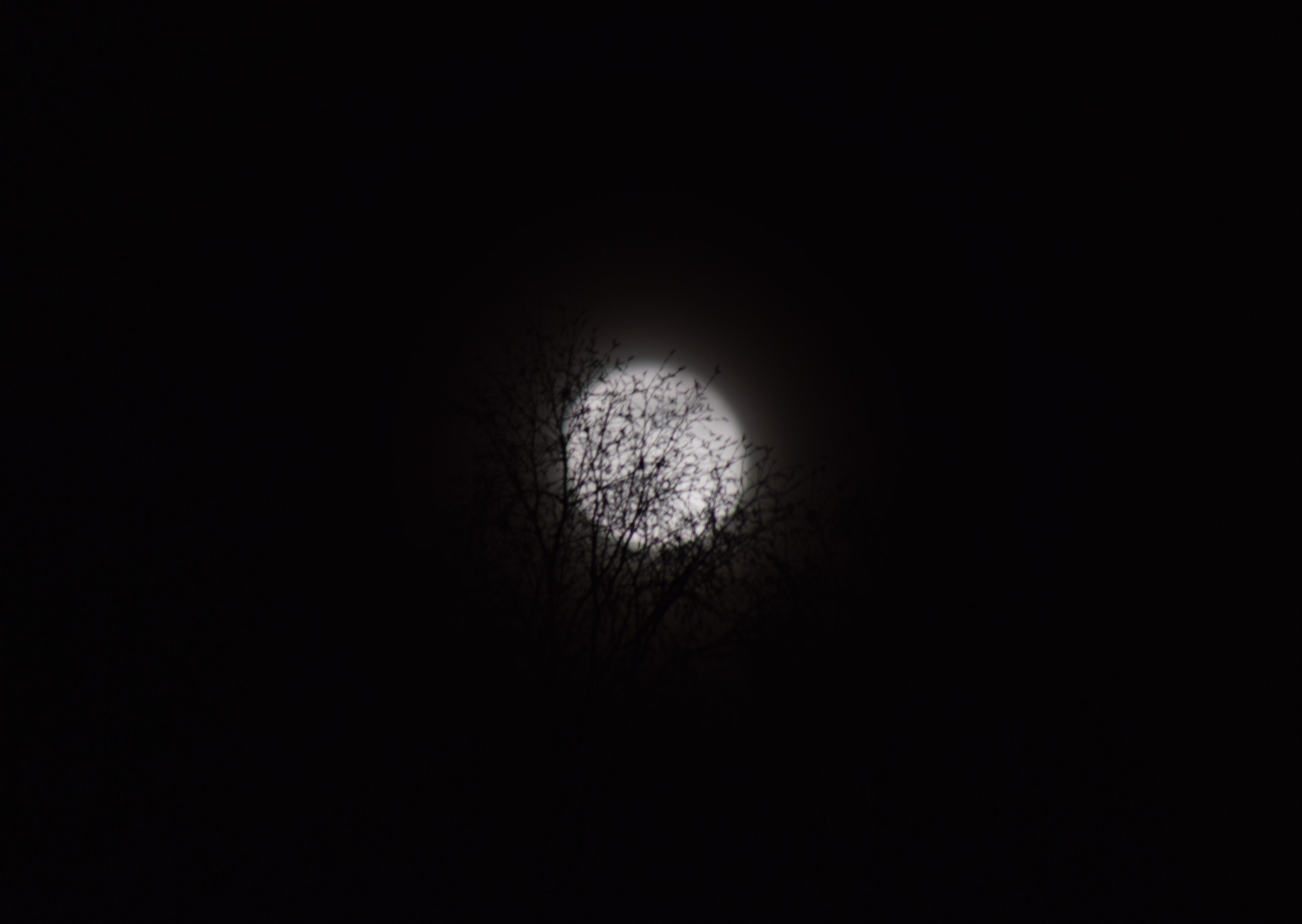 Sigma 70-300mm F4-5.6 APO DG Macro sample photo. Night moon photography