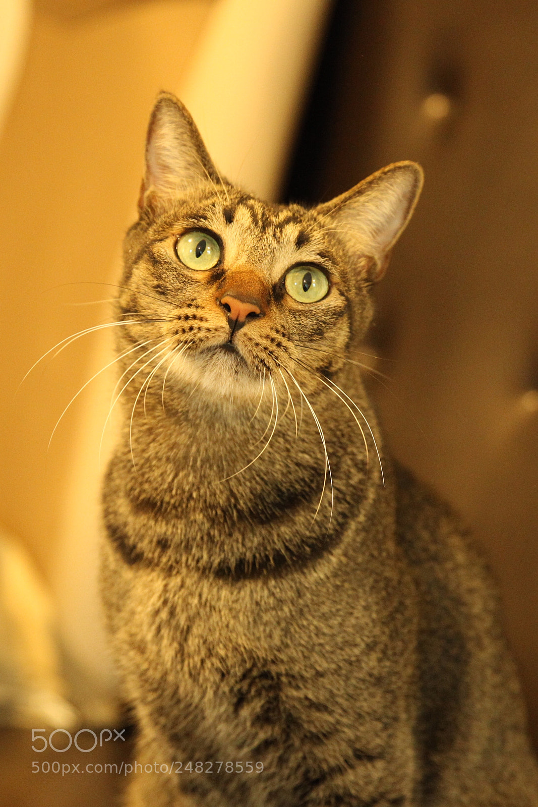 Canon EOS-1D Mark IV sample photo. Untitled photography