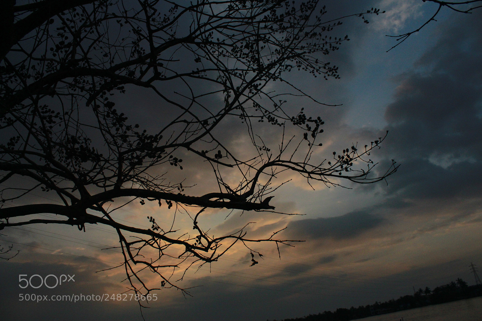 Canon EOS 700D (EOS Rebel T5i / EOS Kiss X7i) sample photo. Kochi it's always been photography