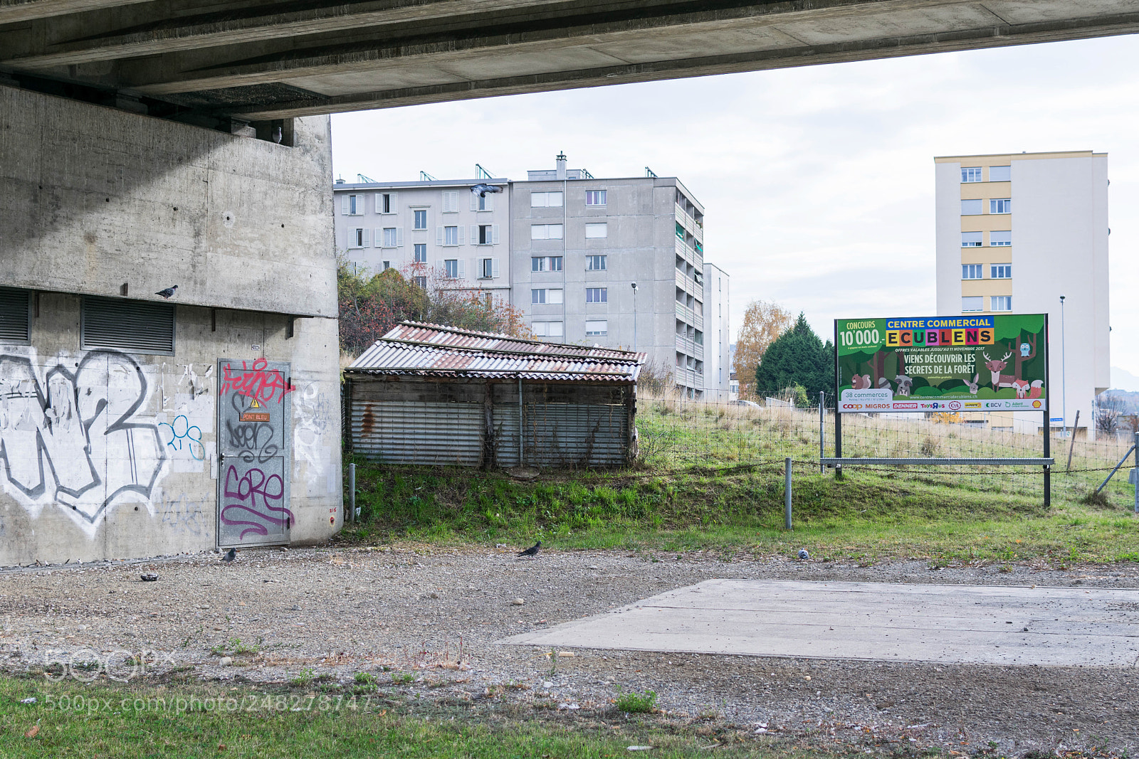 Nikon D3400 sample photo. Viens d couvrir les photography