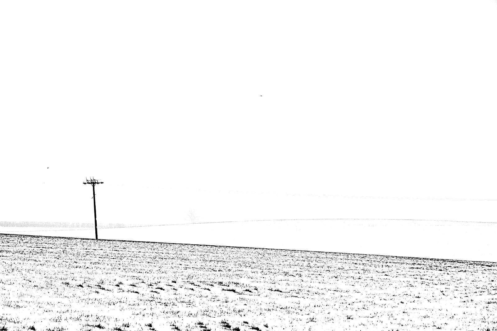 Sony DSC-R1 sample photo. Snow covered field in photography