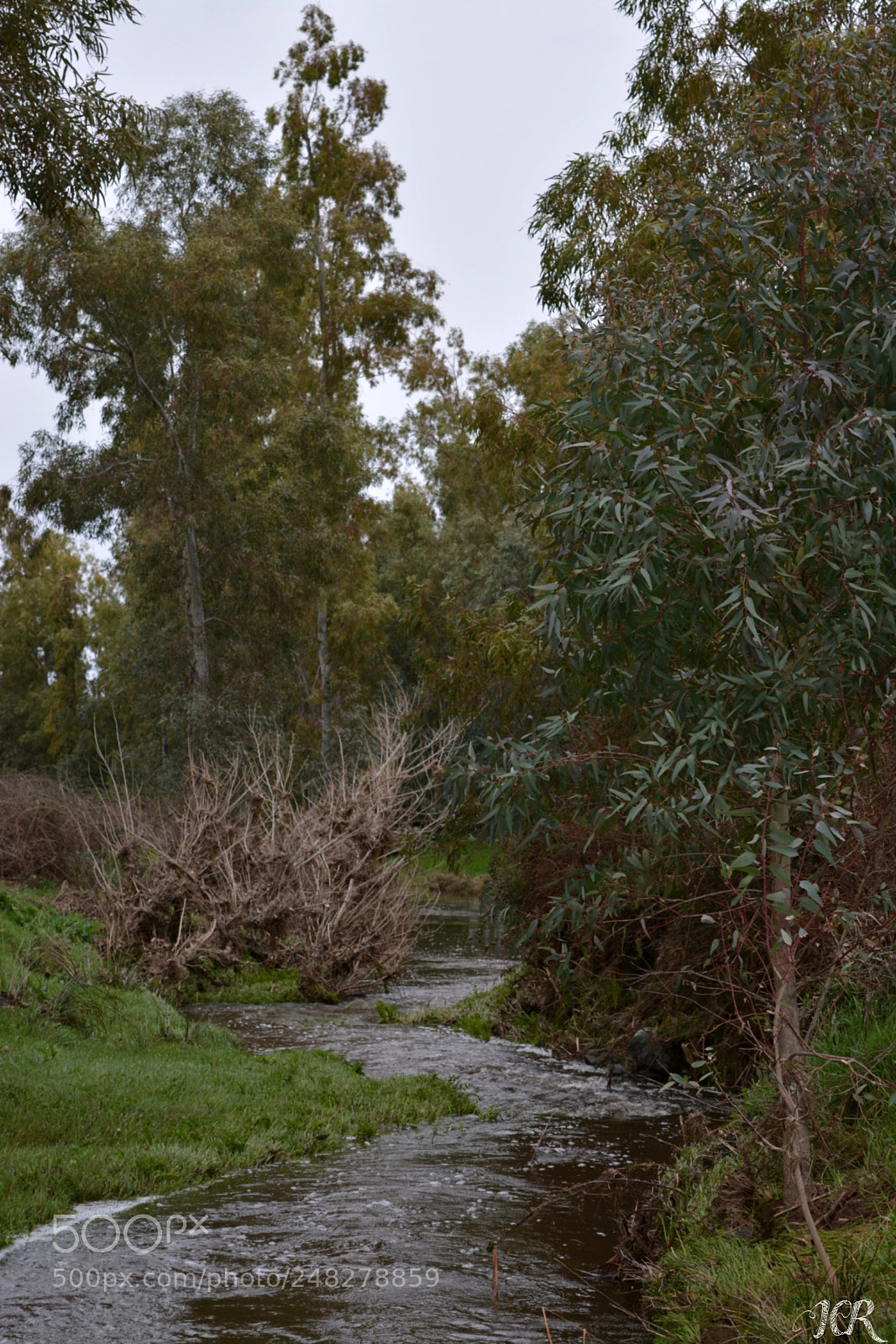 Nikon D5200 sample photo. Naturaleza photography