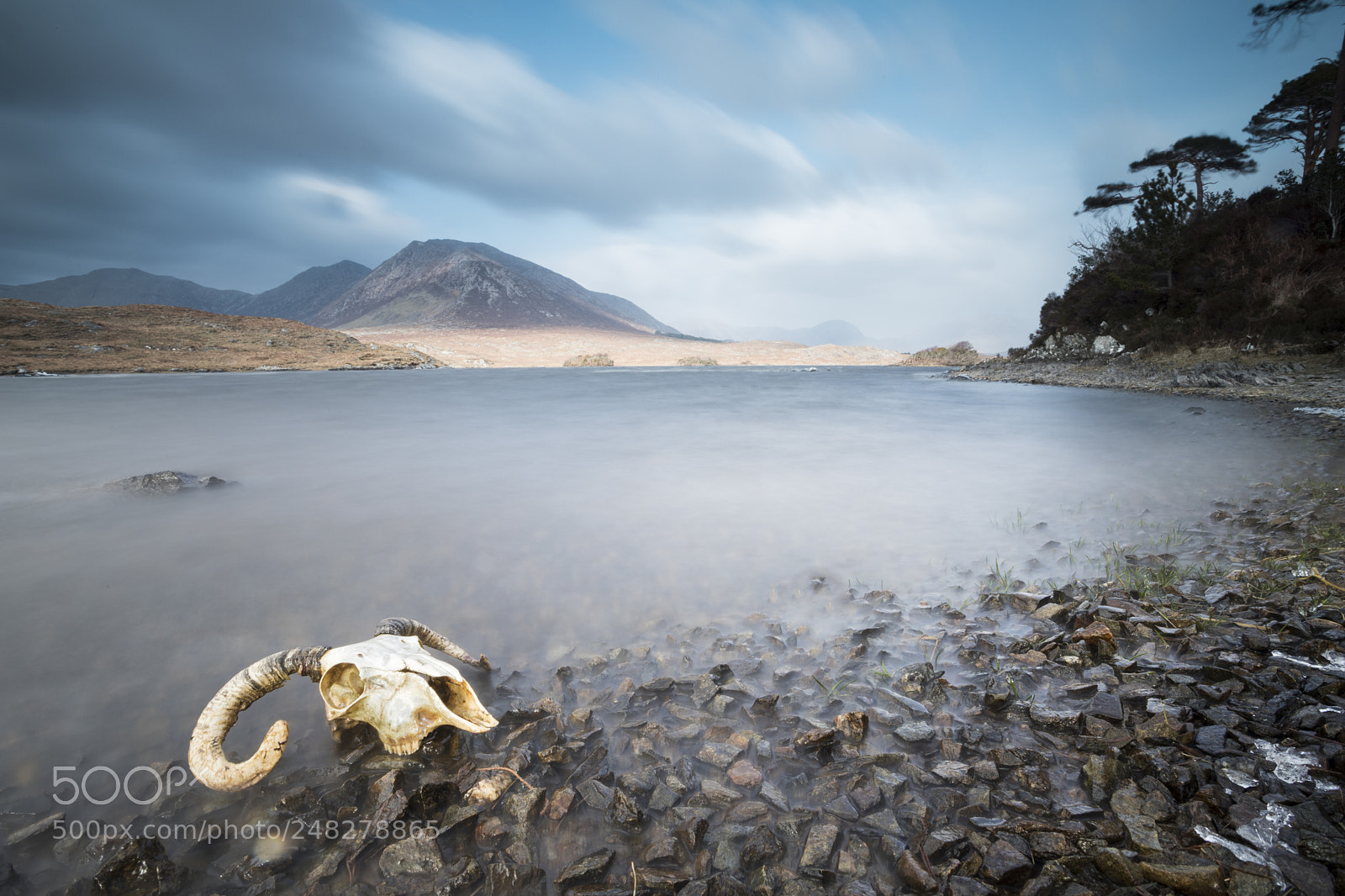 Canon EOS 6D Mark II sample photo. Pine island, connemara national photography