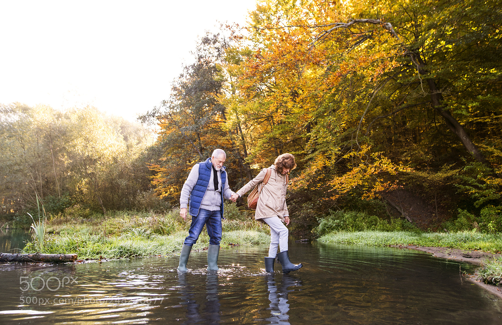 Nikon D5 sample photo. Senior couple on a photography