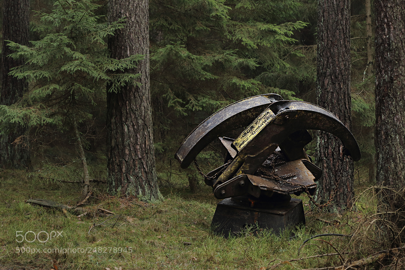 Canon EOS 7D Mark II sample photo. Foresttransformer photography