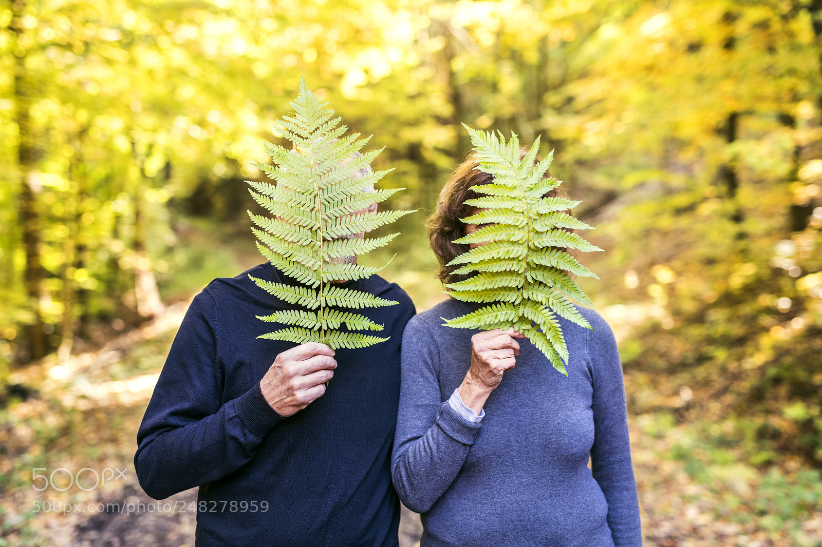 Nikon D5 sample photo. Senior couple on a photography
