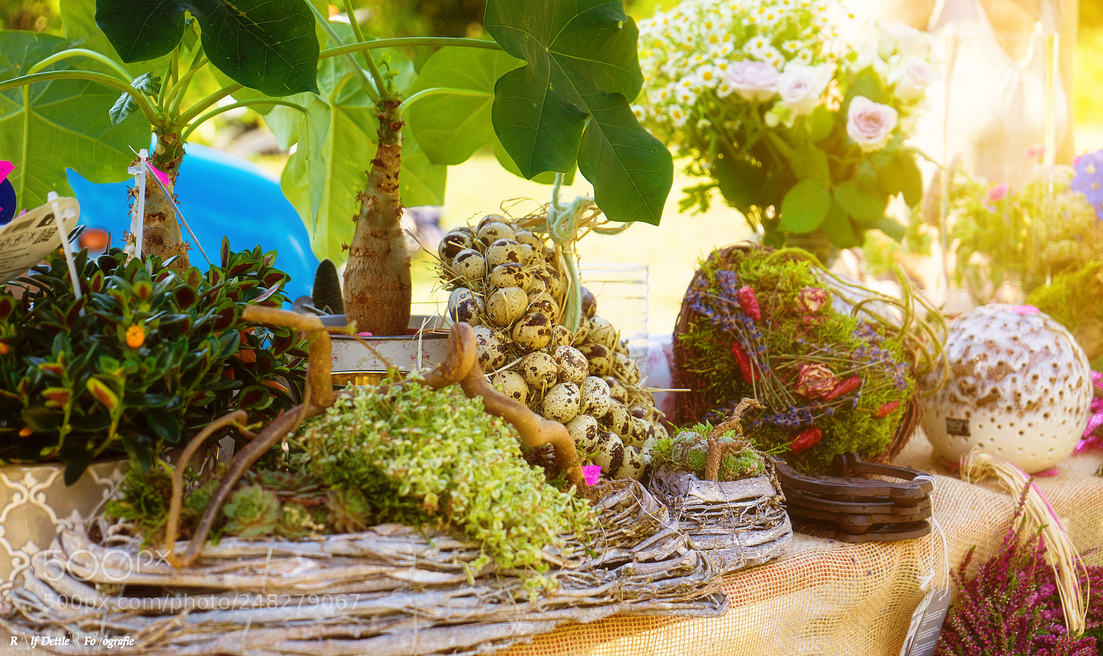 Sony a7 II sample photo. Flower arrangements photography