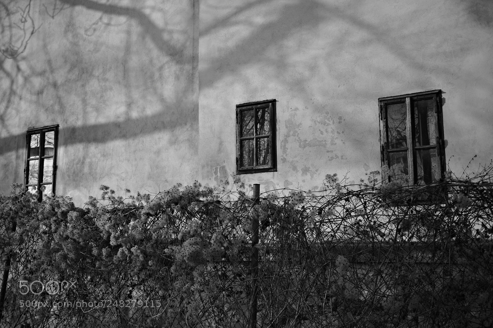 Nikon D5300 sample photo. Windows photography