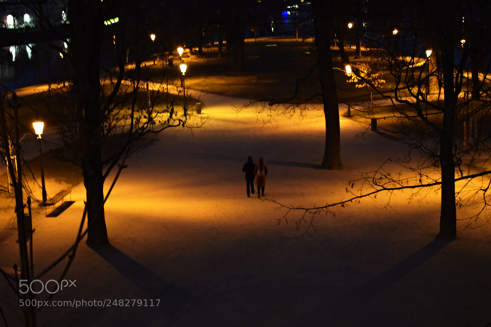 Nikon D5300 sample photo. Only two photography