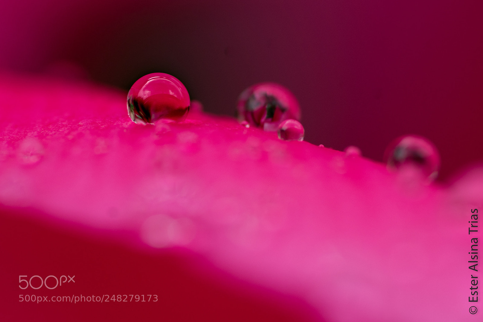 Sony a7R II sample photo. Gotas photography