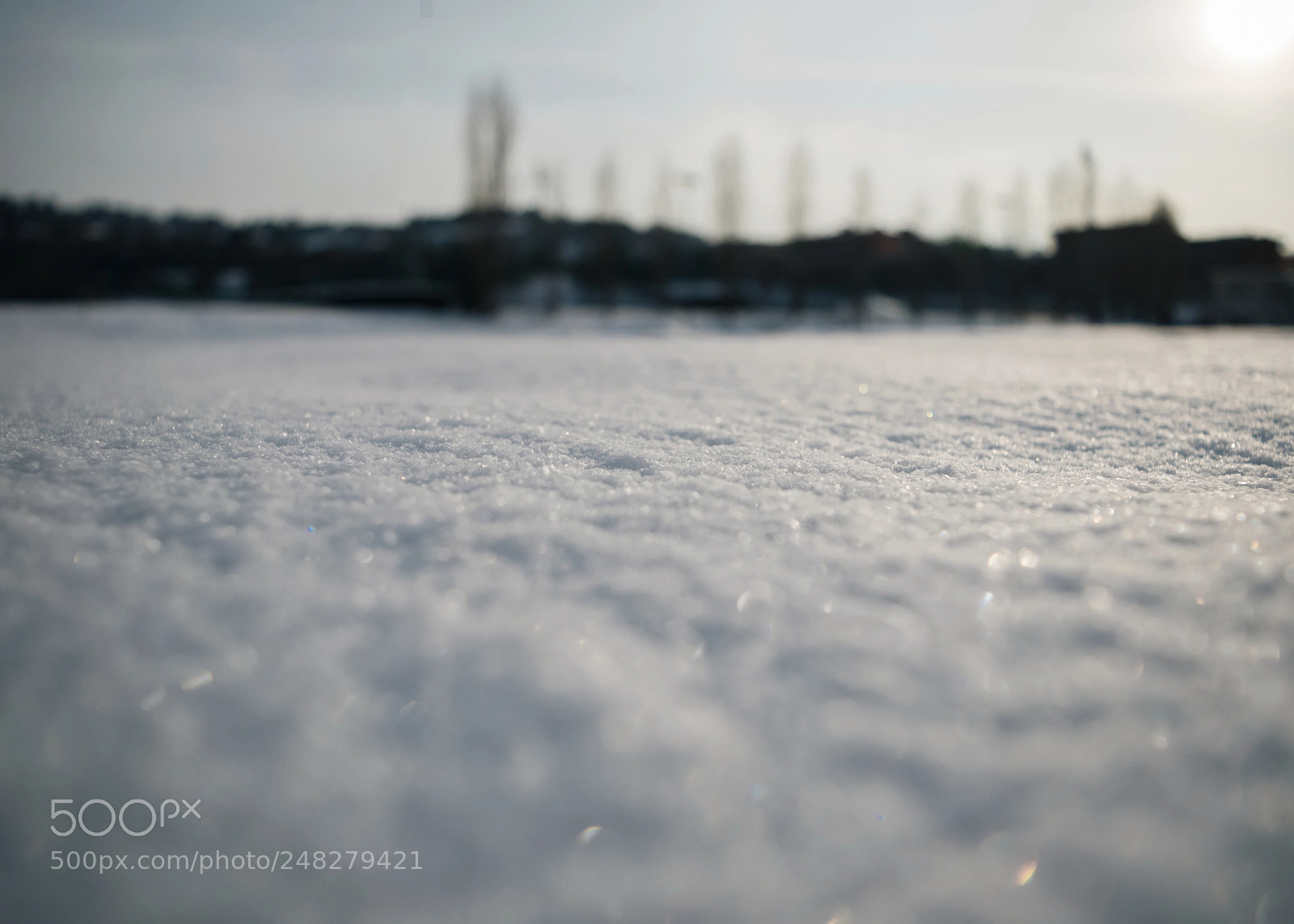 Nikon D5300 sample photo. ❄❄❄ photography