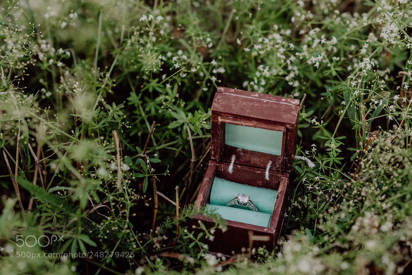 Nikon D5 sample photo. An engagement ring in photography