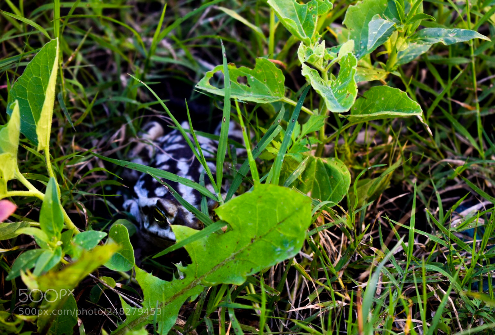 Nikon D5300 sample photo. Untitled photography