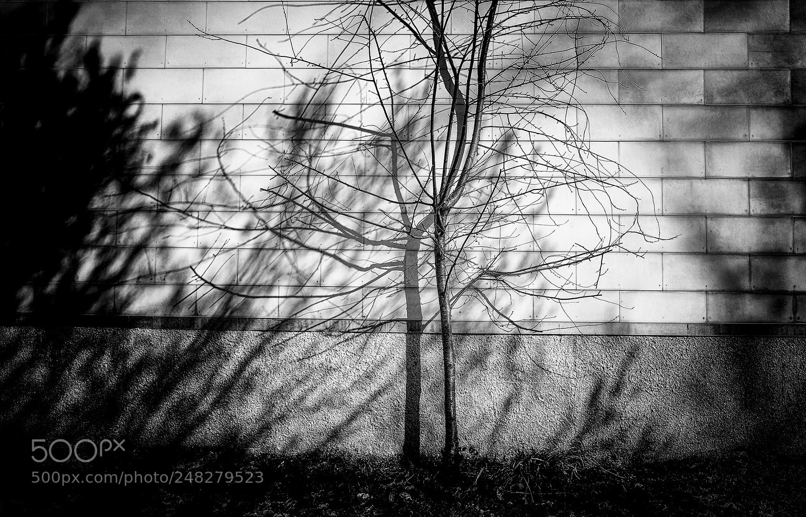 Fujifilm X-T1 sample photo. Shadows on the wall photography